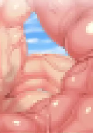 Shikiyoku no Hako - Kyochuu Suuhai 3