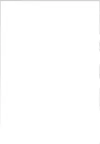 (Reitaisai 11) [Techno Break Izonshou (Techno)] Yuri Hametsu no Sono (Touhou Project)