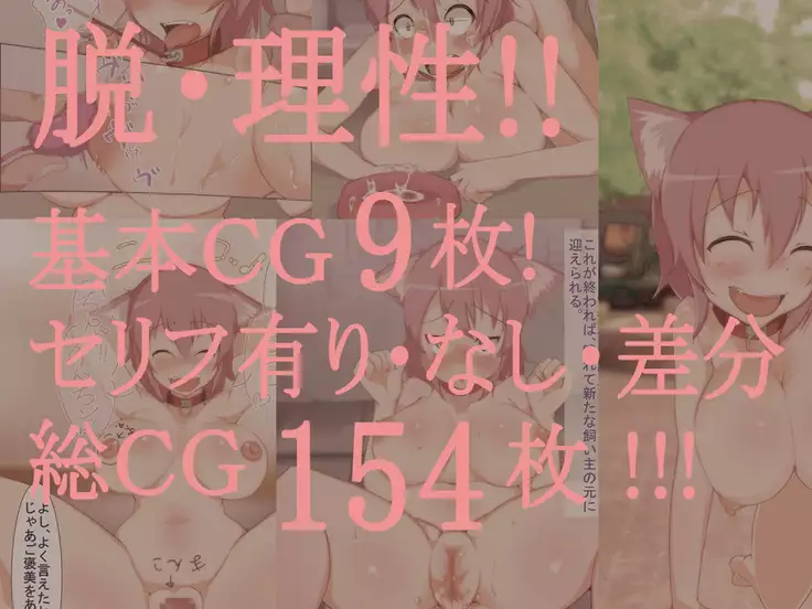 Inu no Shiawase Vol. One