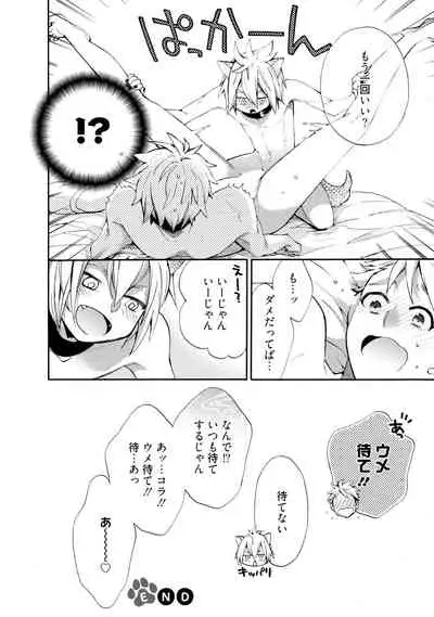 Wolves and Erotic Things